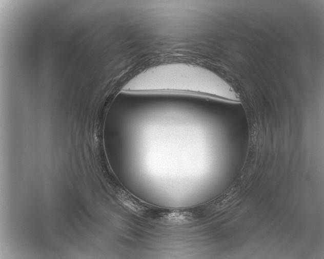 X0000061100566200511180911
