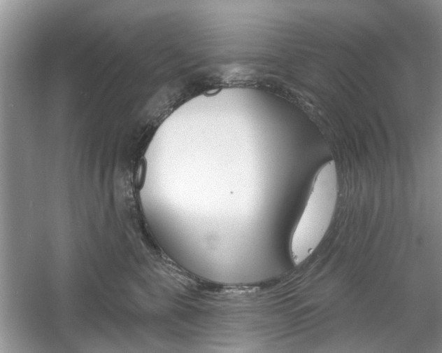 X0000061100571200511180911