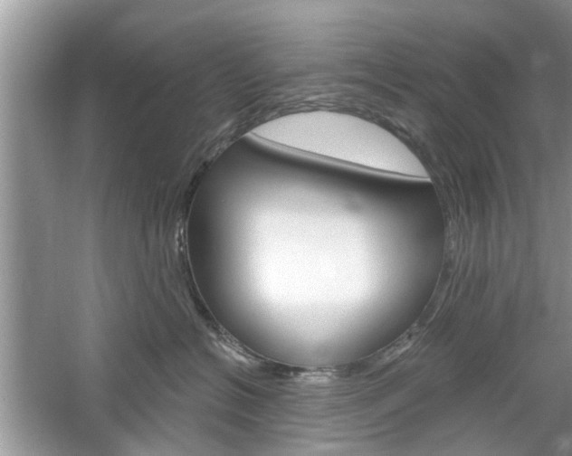 X0000061100574200511180911