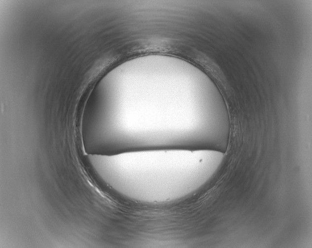 X0000061100578200511180910