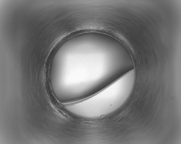 X0000061100580200511180910
