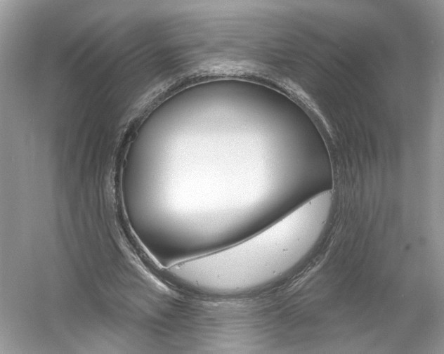 X0000061100581200511180910