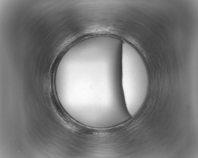 X0000061100582200511180910