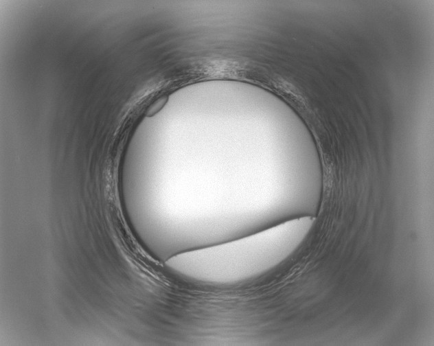 X0000061100587200511180910