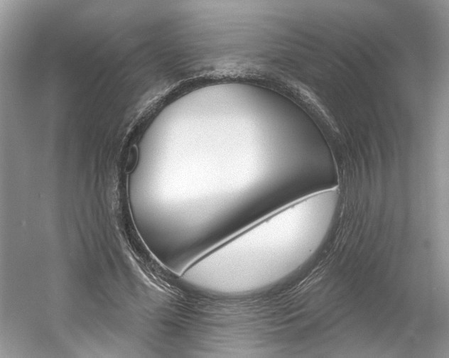 X0000061100588200511180910