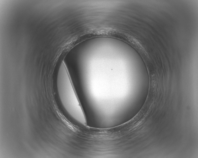 X0000061100589200511180910