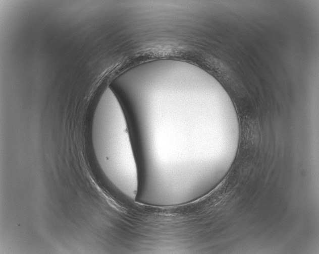 X0000061100590200511180910