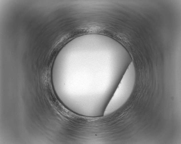 X0000061100591200511180910