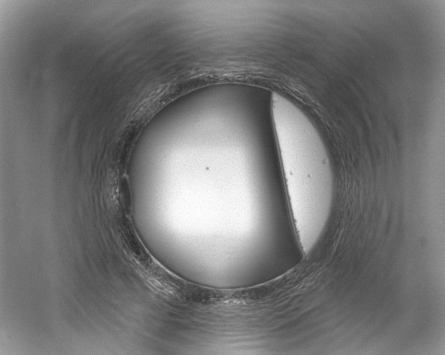 X0000061100593200511180910