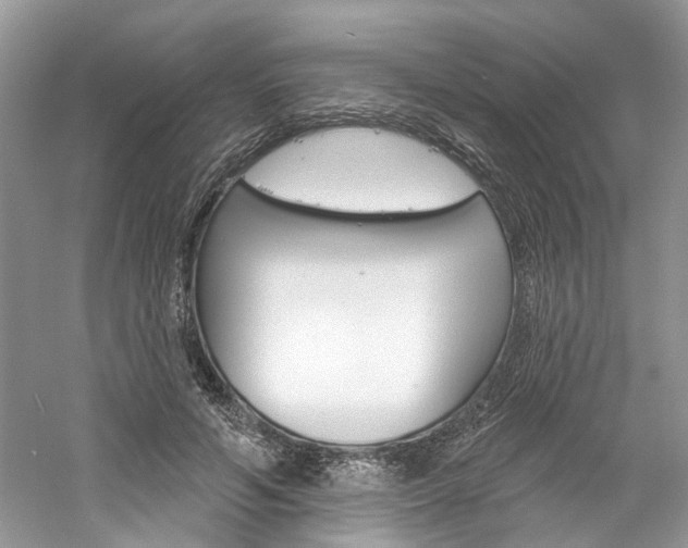 X0000061100594200511180910