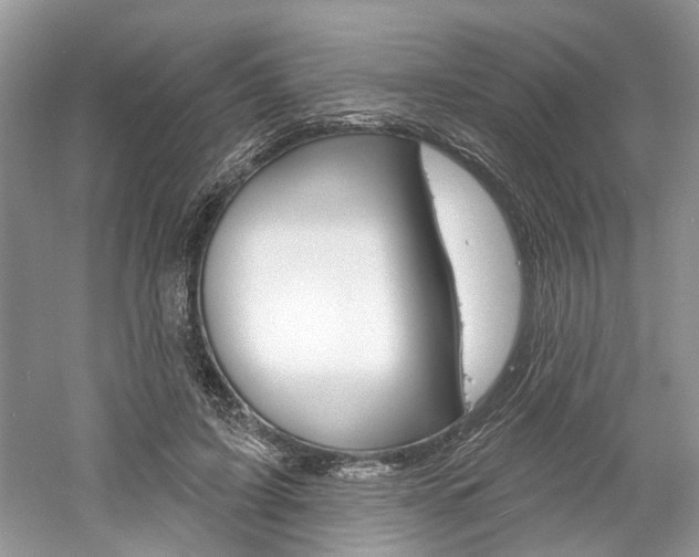 X0000061100595200511180910