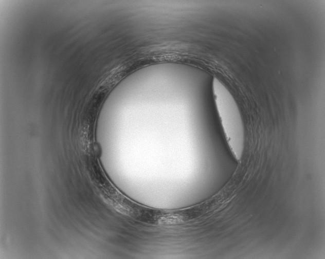 X0000061100599200511180910