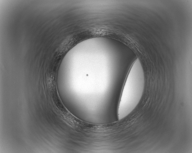 X0000061100601200511180910