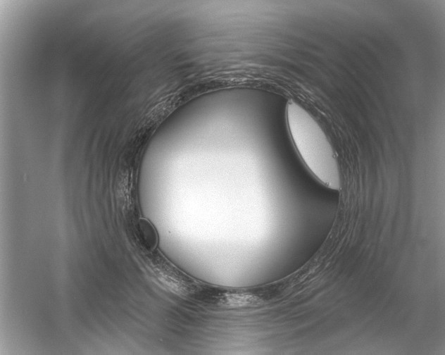 X0000061100605200511180910