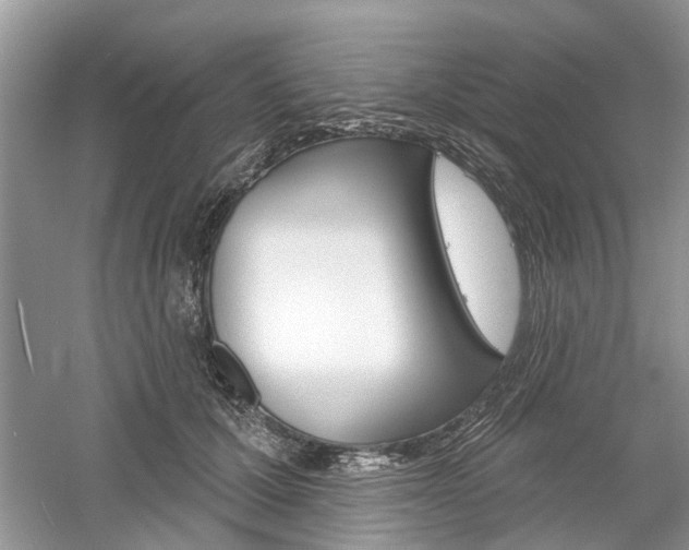 X0000061100607200511180910