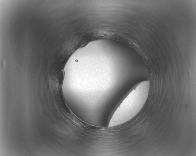 X0000061100617200511180910