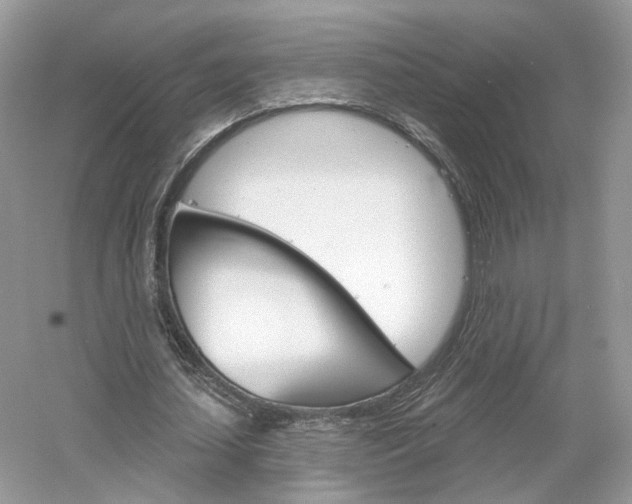 X0000061100627200511180909