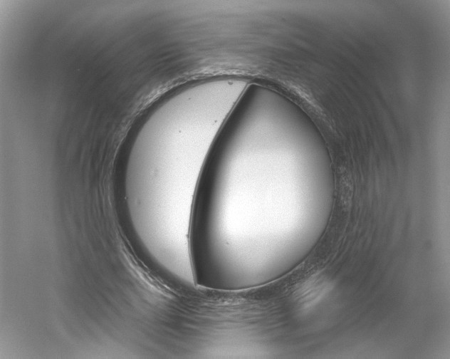X0000061100631200511180909