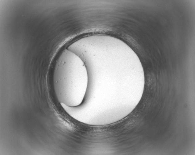 X0000061100632200511180909
