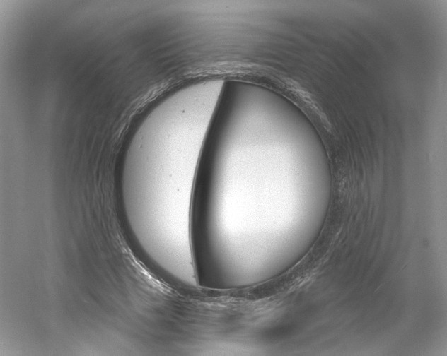 X0000061100633200511180909