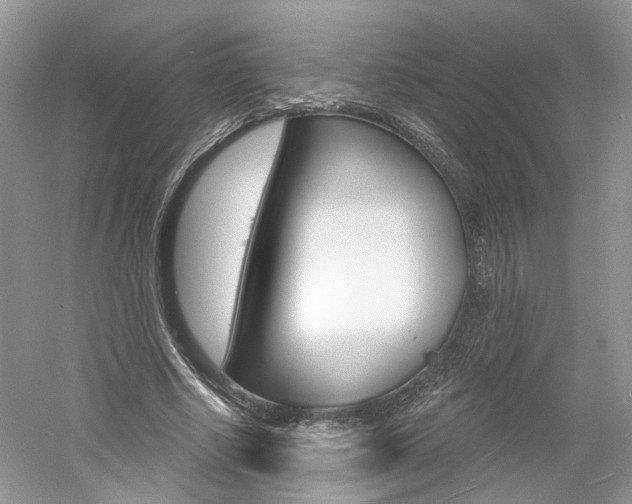X0000061100634200511180909