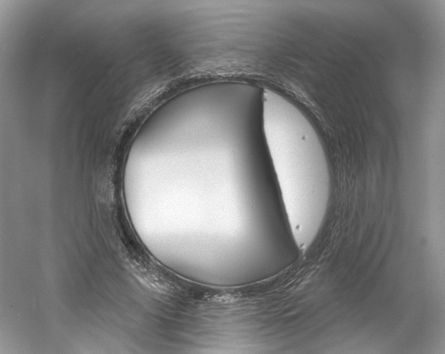 X0000061100635200511180909