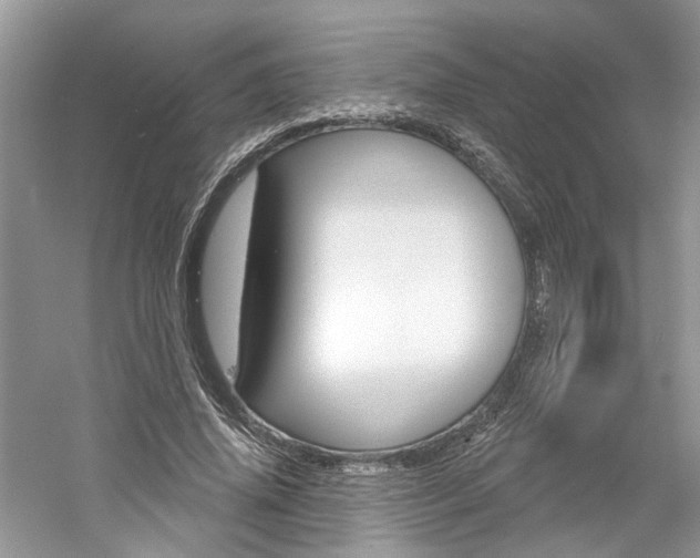 X0000061100636200511180909