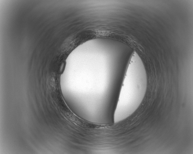 X0000061100655200511180909