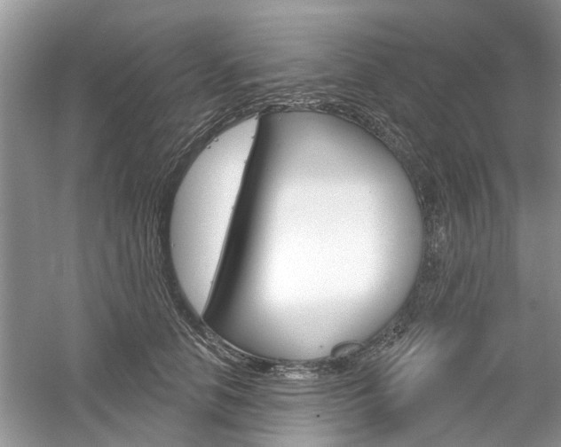 X0000061100658200511180909