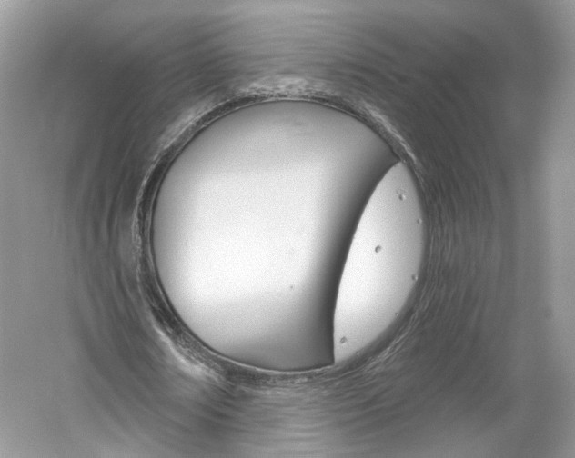 X0000061100674200511180909