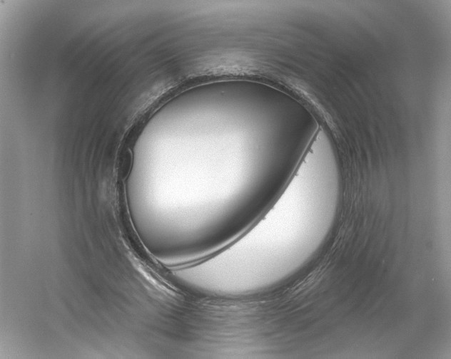 X0000061100677200511180909