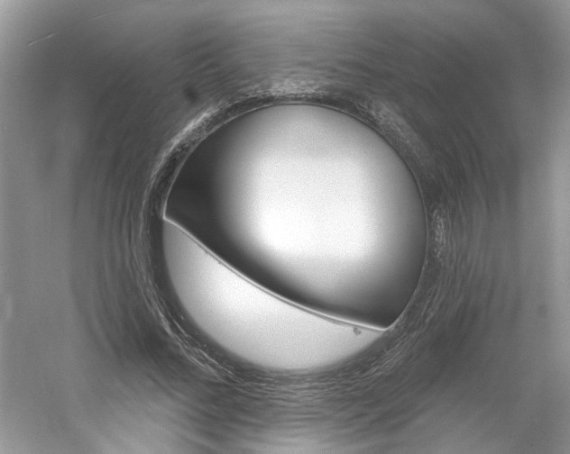 X0000061100684200511180908