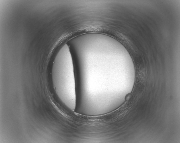 X0000061100686200511180908