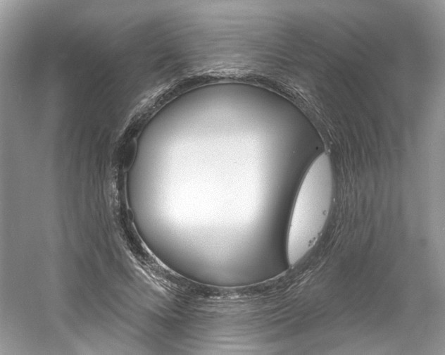 X0000061100688200511180908