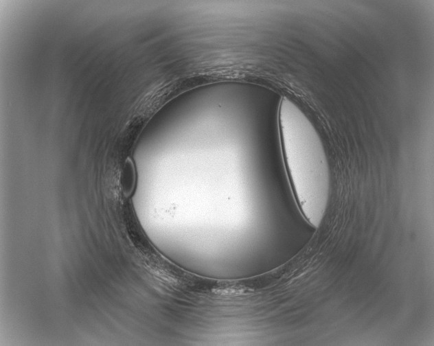 X0000061100693200511180908