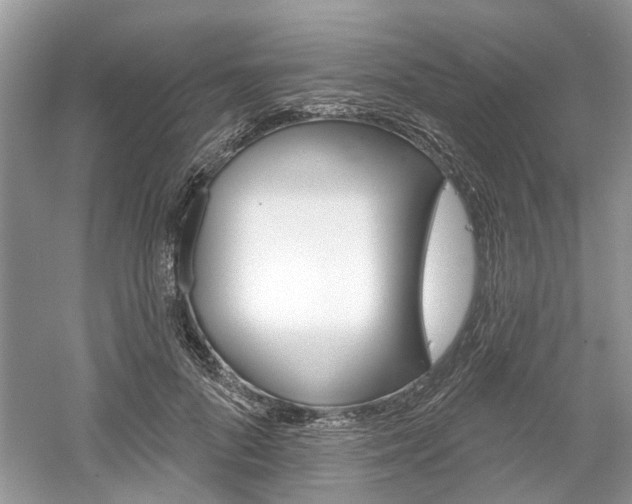 X0000061100696200511180908