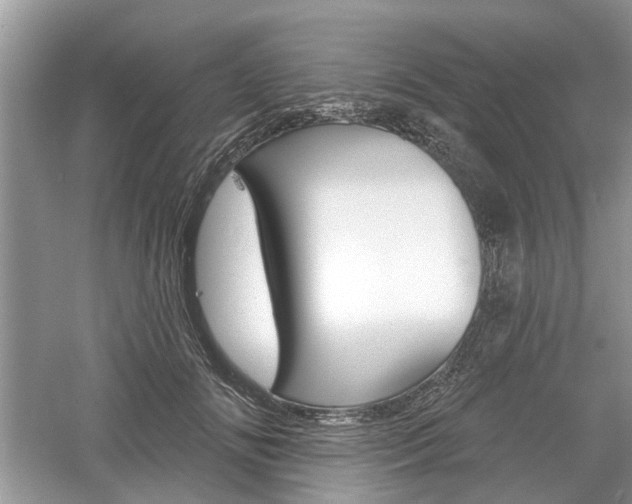 X0000061100702200511180908