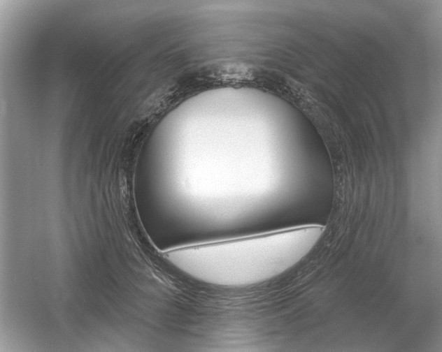 X0000061100704200511180908
