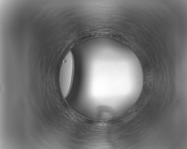 X0000061100708200511180908