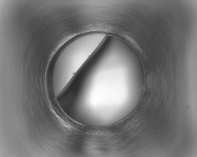 X0000061100722200511180907