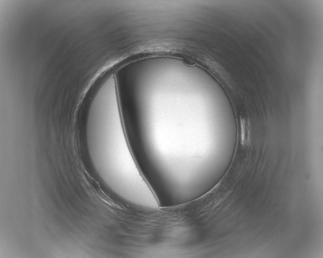 X0000061100723200511180907