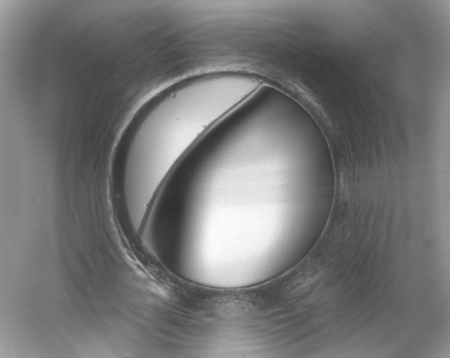 X0000061100724200511180907