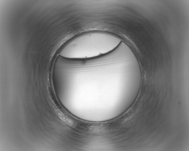 X0000061100725200511180907