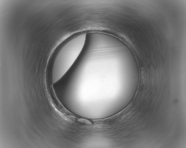 X0000061100726200511180907