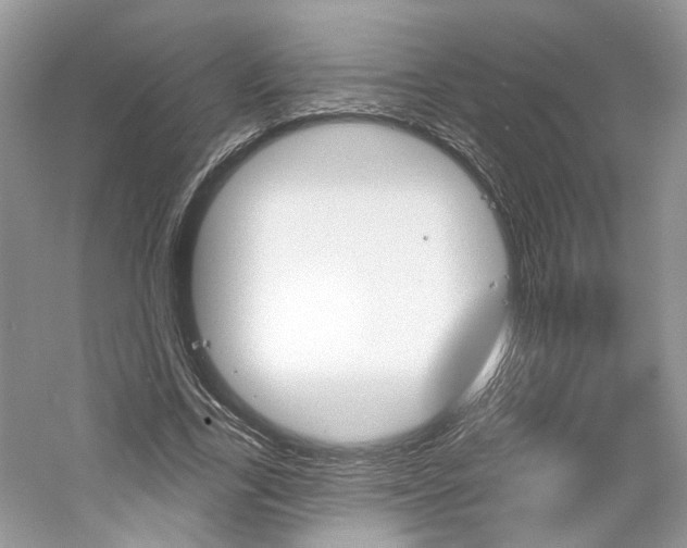 X0000061100731200511180907