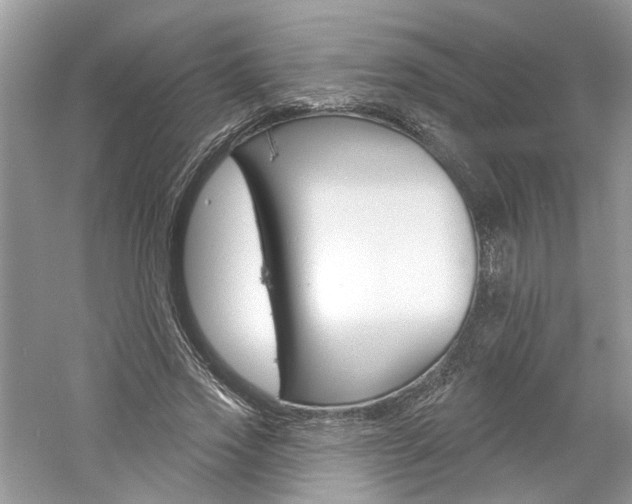 X0000061100733200511180907