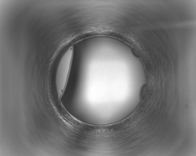 X0000061100736200511180907