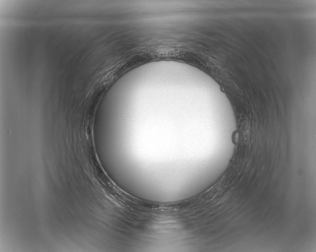X0000061100746200511180907