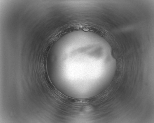 X0000061100754200511180908