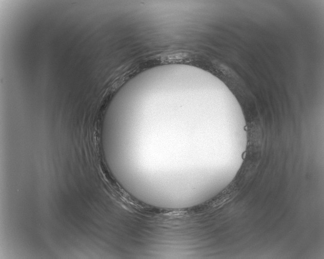 X0000061100761200511180908